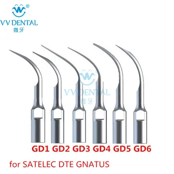 Ultragarsinis Dantų Scaler Laboratorinė Įranga Patarimas GD1 GD2 GD3 GD4 GD5 GD6 Suderinama Su SATELEC/DTE/GNATUS